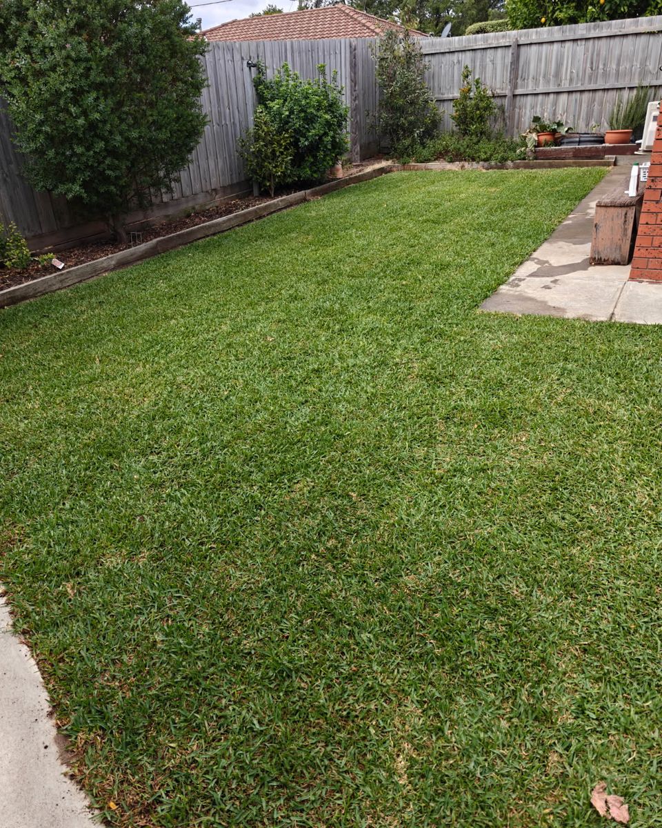 Lush green lawn in Clifton Springs, Geelong — Titan Group Vic turf install completed.